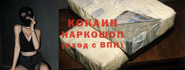 стафф Алексин