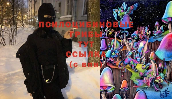 гашиш Новокубанск
