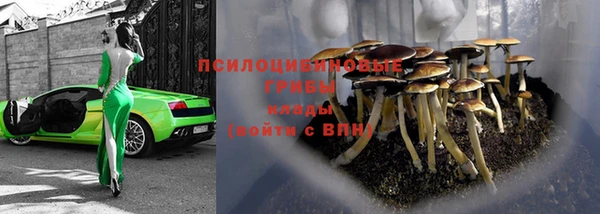 стафф Алексин